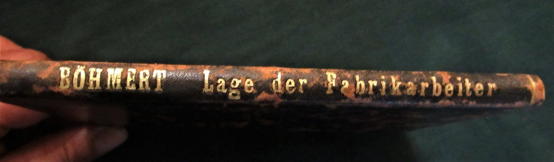 Libri: Lage d. Fabrikarbeiter 1868 Sozialismus – Usato da Hedingen venduto da Protechnica 1