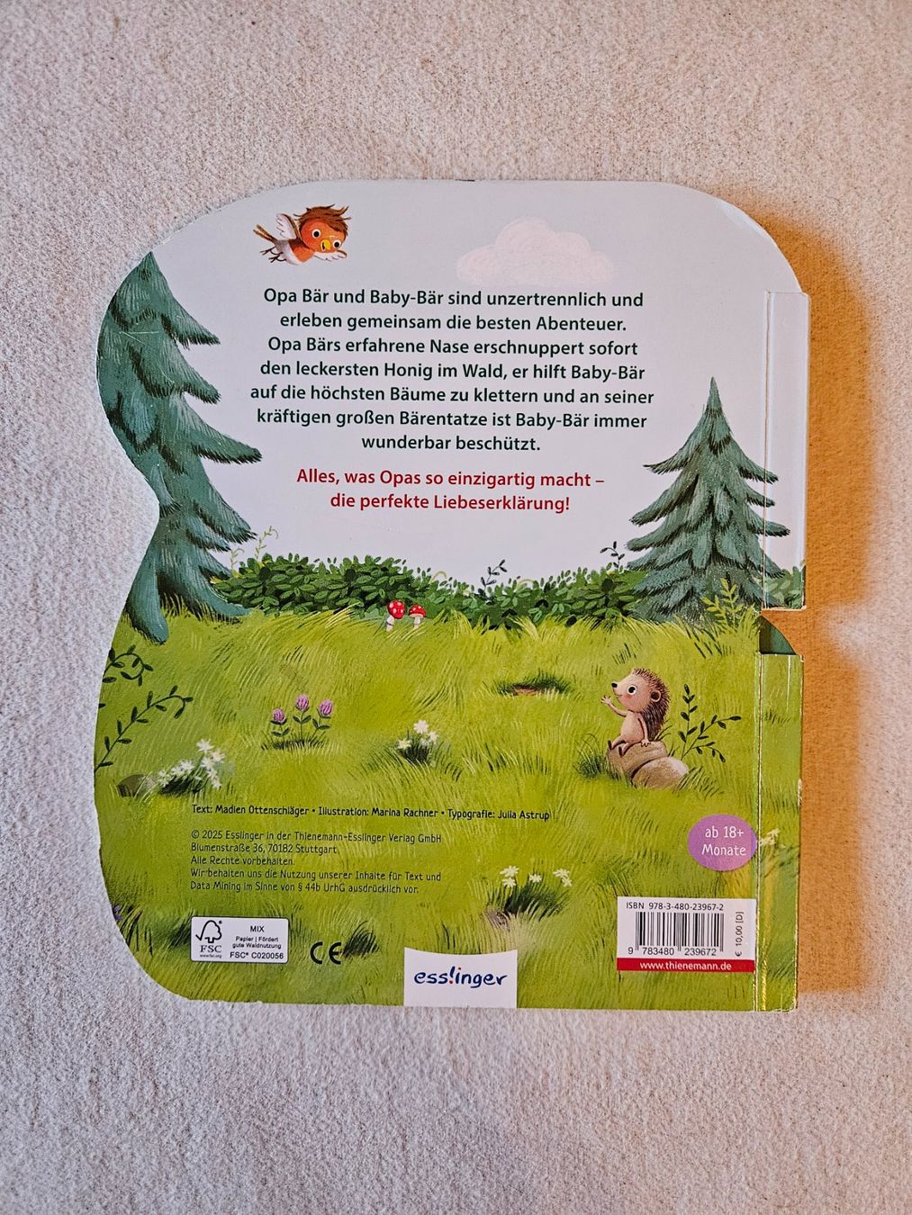Libri: Bilderbuch Opa & ich – Usato da Worb venduto da jun_fj8w 2
