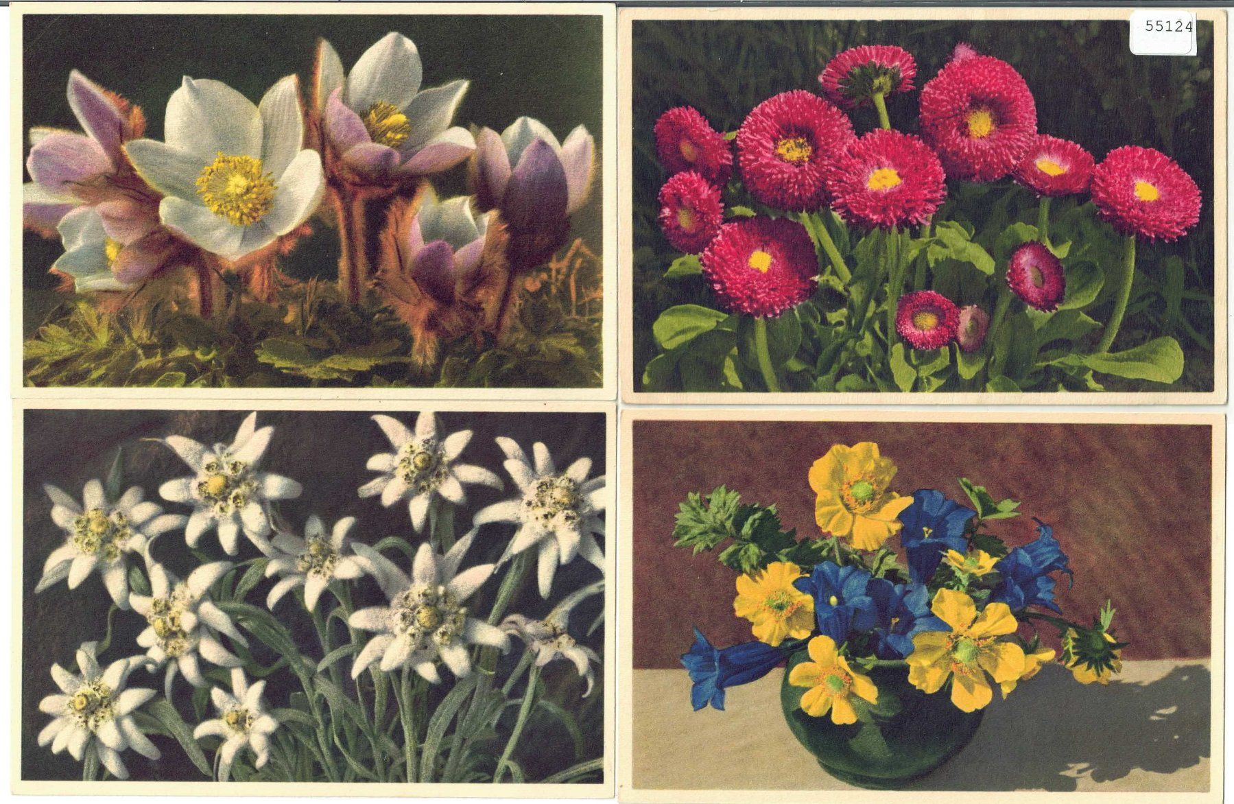 Ansichtskarten: 4 AK - Blumen - Photo: E. Gyger – Gebraucht aus Ettingen von Kartenplanet