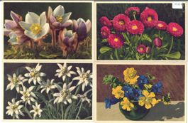 4 AK - Blumen - Photo: E. Gyger