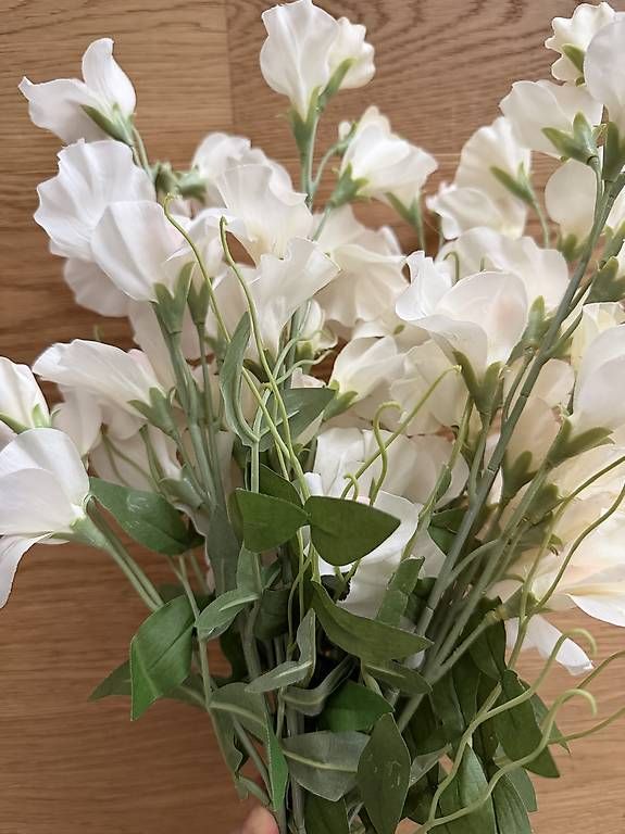 Piante & sementi: Kunstblumen weiss lang - 5 Stk – Usato da Muttenz venduto da jea_2wtm 2