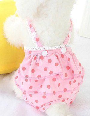 Secchi per pannolini & Pannolini: Hundehöschen Gr XL – Nuovo e nell'imballaggio originale da Matt venduto da Westigruppe