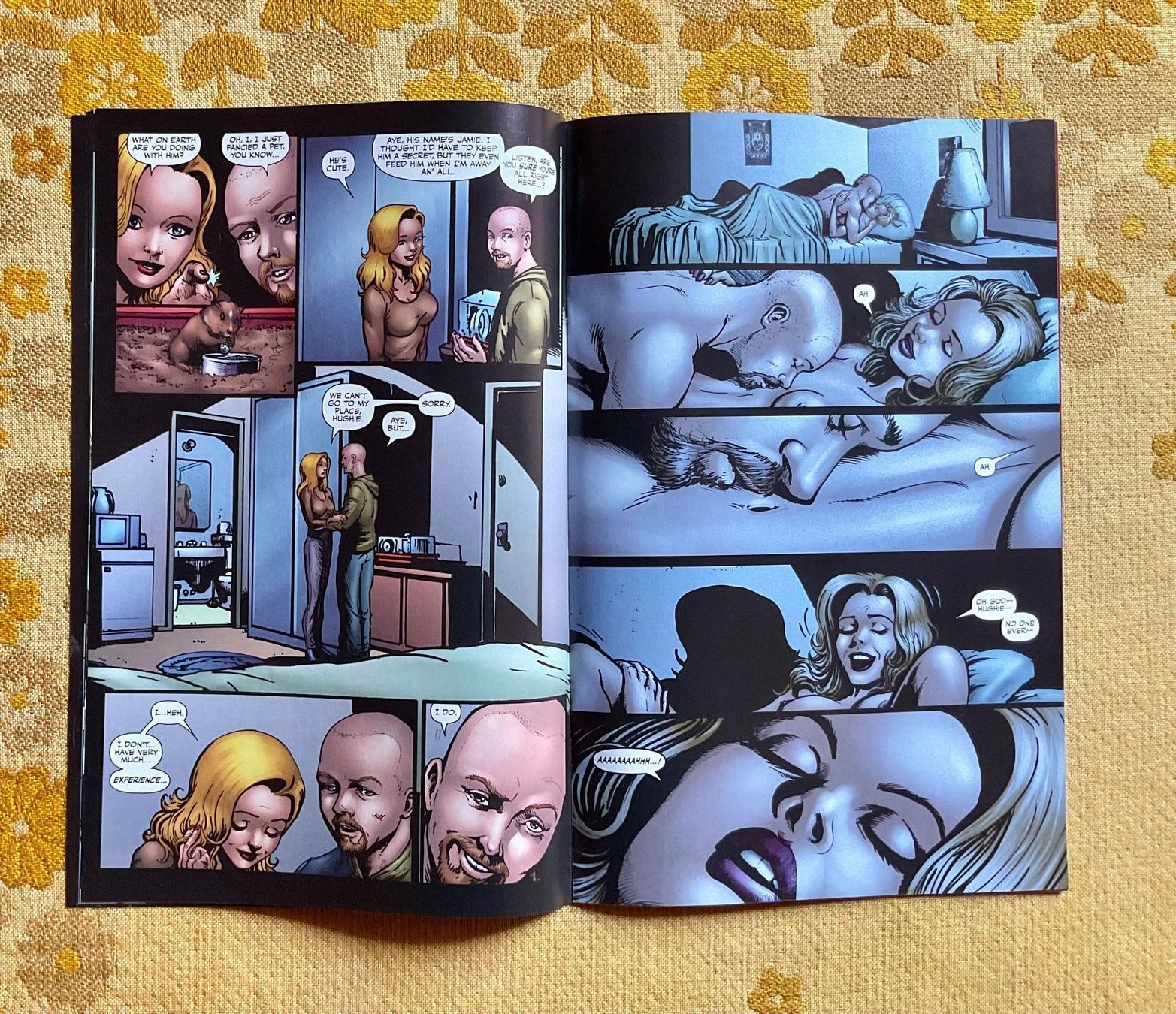 Fumetti: The Boys Heft von 2008 ENGLISCH – Nuovo (secondo la descrizione) da Endingen venduto da nathan05 5