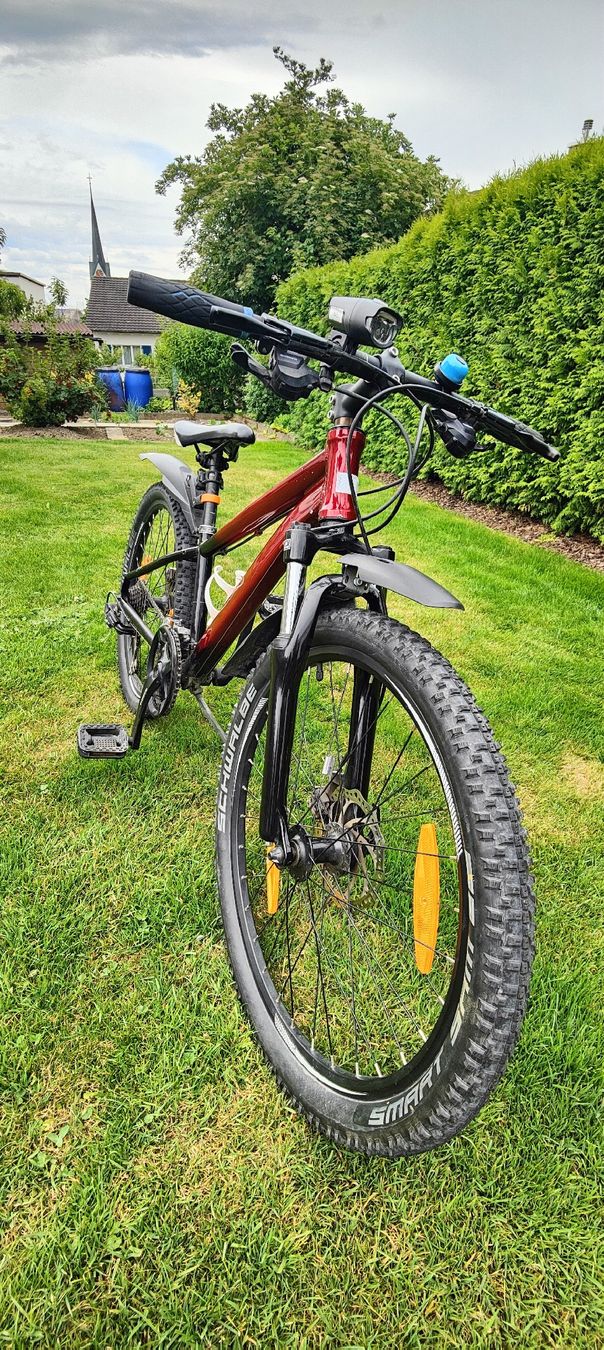 Biciclette: Bike 24 Zoll – Usato da Sins venduto da Sconza 2