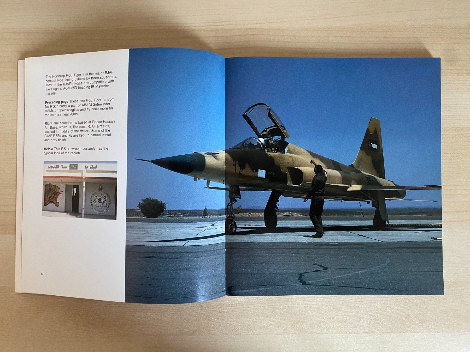 Modellbausätze & Standmodelle: Modellbau Doku - Asian Air Power – Gebraucht aus Koppigen von F4Fan 2