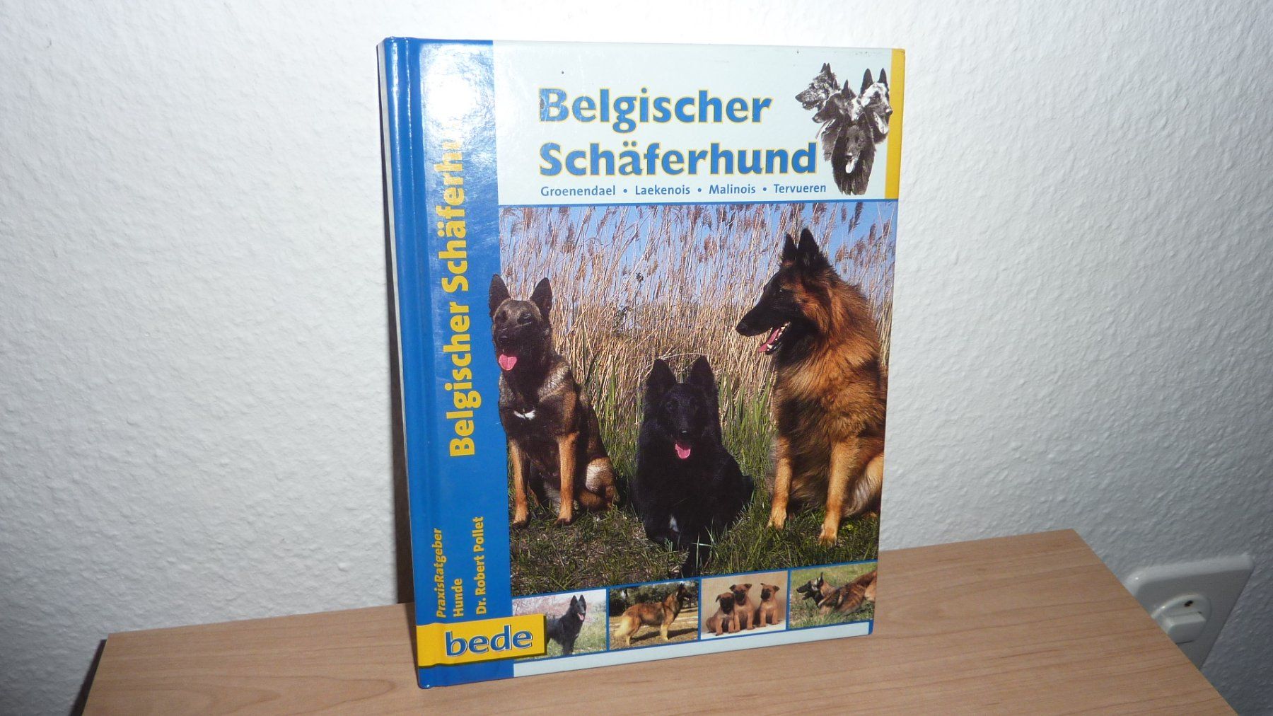 Livres: hundebuch  hunde – Neuf (Voir description) à Füllinsdorf par pmarkus 1