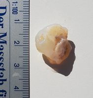 Opal 9.5ct Australia