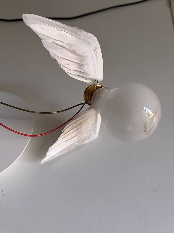 Lampen: Ingo Maurer Lucellino – Gebraucht aus Basel von dietschy77 1