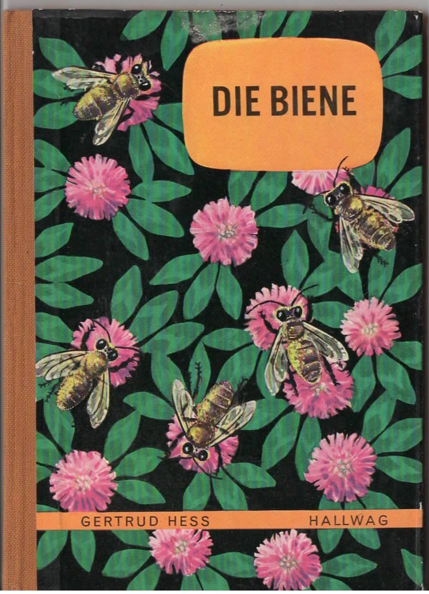 Libri: 1 Sachbüchlein Die Biene – Usato da Basel venduto da Happybaer
