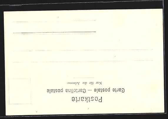 Cartoline postali: Dampfer Victoria auf dem Vierwaldstätte – Usato da Berlin venduto da bartko-reher 1