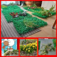 DécorationFlor(6pce+dekor)oder Grüner Rassen-Teppich Balkon!
