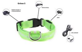 LED Hunde Leuchthalsband - Grösse S in Grün