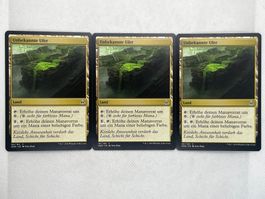 Magic the Gathering: 3x Unbekannte Ufer / OGW Common (DE)
