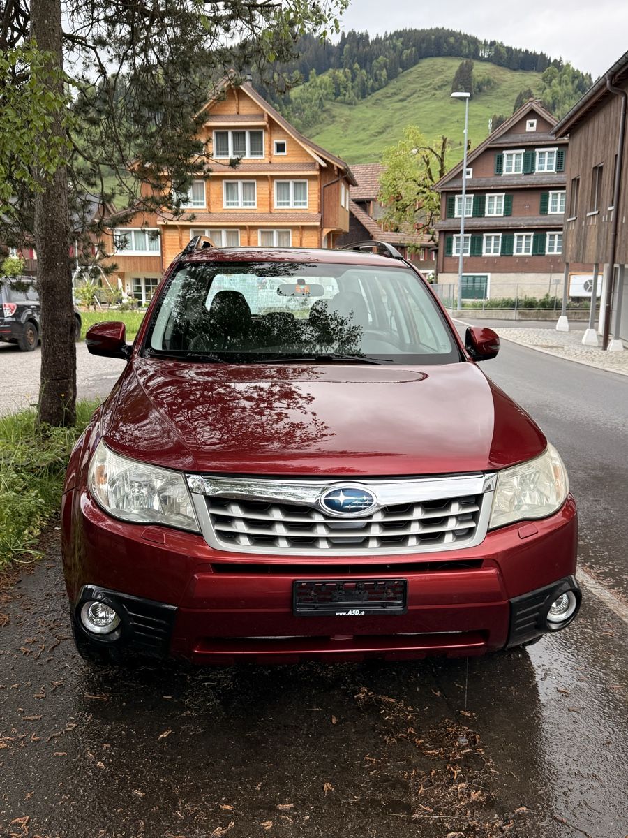 Subaru Automobili: Subaru Forester 4x4 Automat mit MFK & Service – Usato da Rothenthurm venduto da JanFuechslin 7