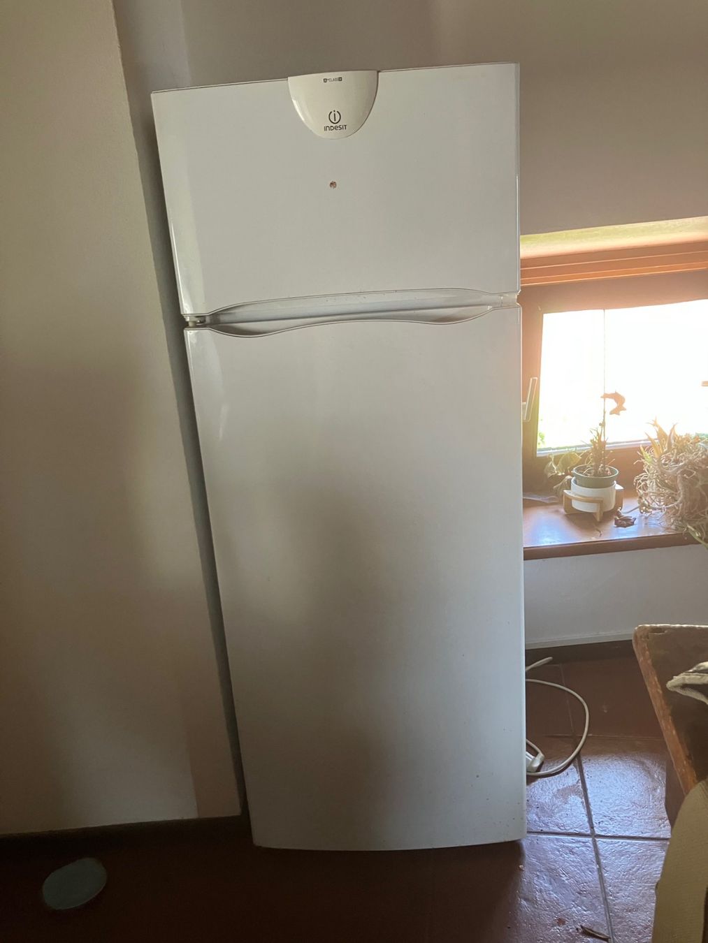Frigoriferi: frigorifero indesit  piu`piccolo congelatore – Usato da Sagno venduto da ang_fs6n