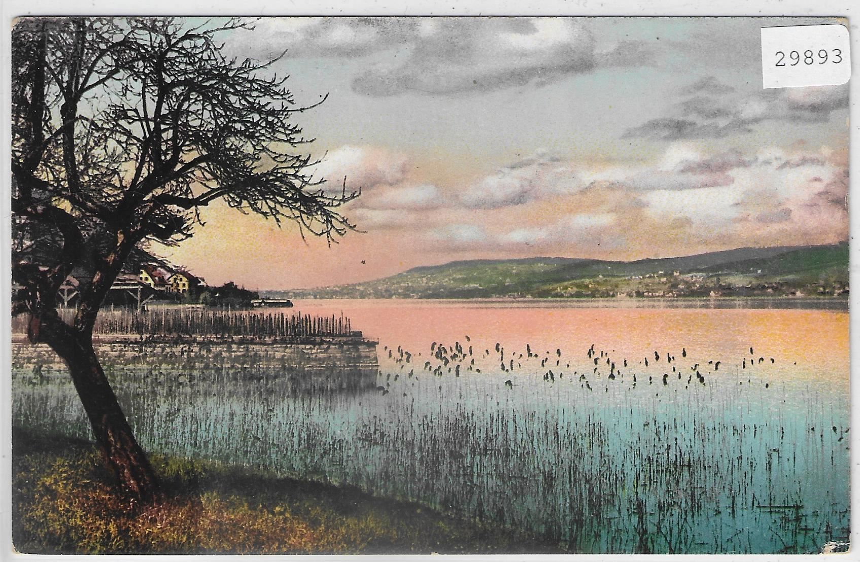 Cartoline postali: Am Zürichsee - Litho – Usato da Ettingen venduto da Kartenplanet