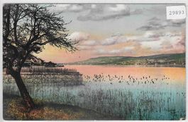 Am Zürichsee - Litho