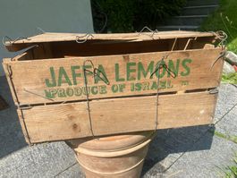 alte Zitronenkiste aus Israel