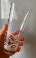 6er-Set APPENZELLER Mineral-Gläser (30cl)