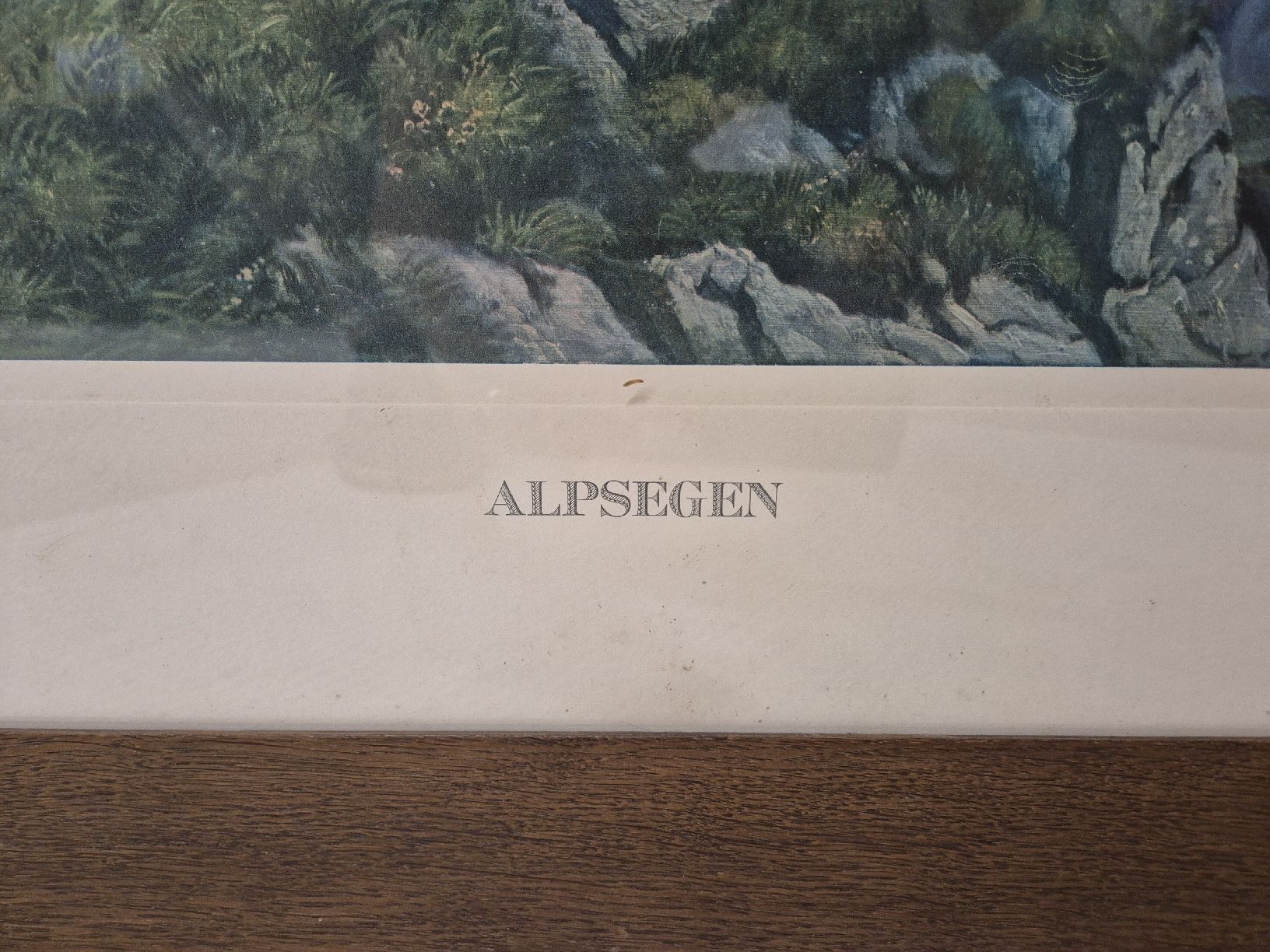 Dipinti: Historischer Druck "Alpsegen" – Usato da Rüthi (Rheintal) venduto da Gtech85 1