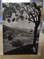 Pany Prättigau Postkarte   2