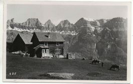 FLUMS GROSSBERG Bauer mit Kühen auf der Alp