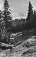 Mürren (BE) Bergweg zur Ebnefluh Alpenpanorama