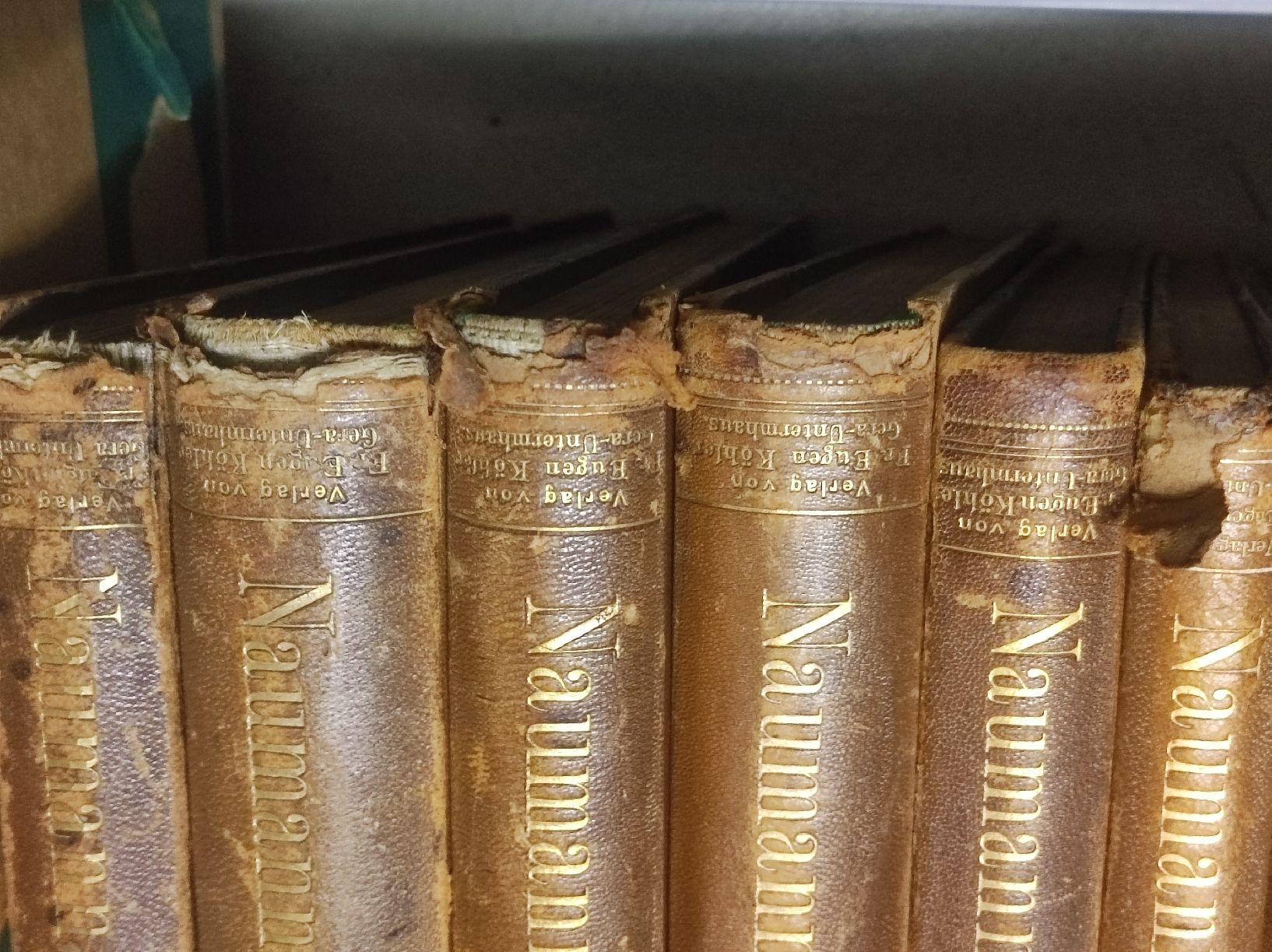 Bücher: ZOOLOGIE - ORNITHOLOGIE - NAUMANN – Gebraucht aus Goldach von Gaip 8