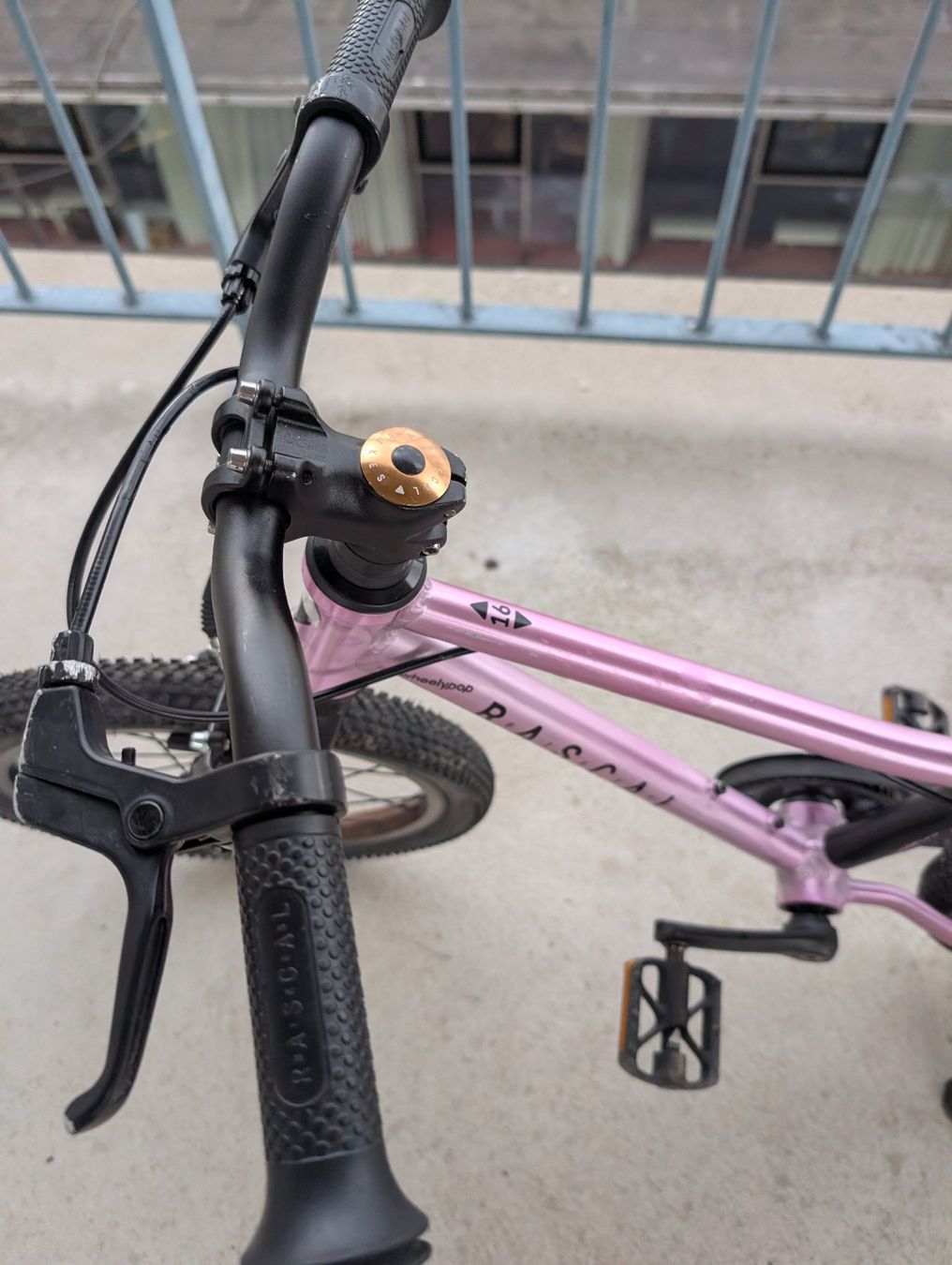 Biciclette: Rascal Kindervelo 16 Zoll pink – Usato da Zürich venduto da papillon8000 4