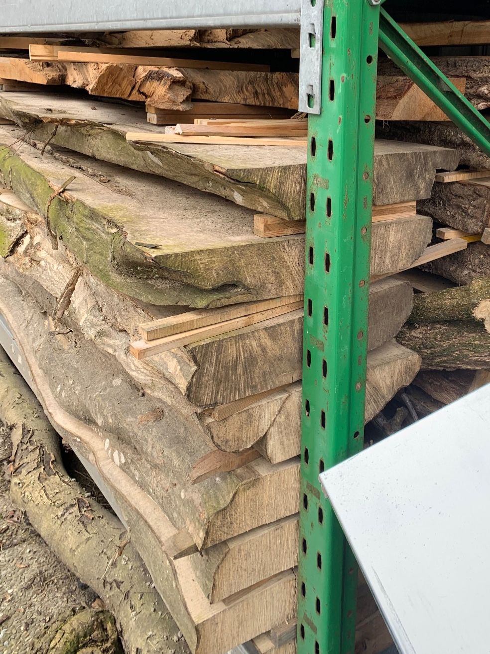 Articoli in legno: Bretter Hagenbuche – Nuovo (secondo la descrizione) da Holziken venduto da Timbergrizzly 4