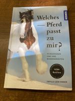 Welches Pferd passt zu mir?