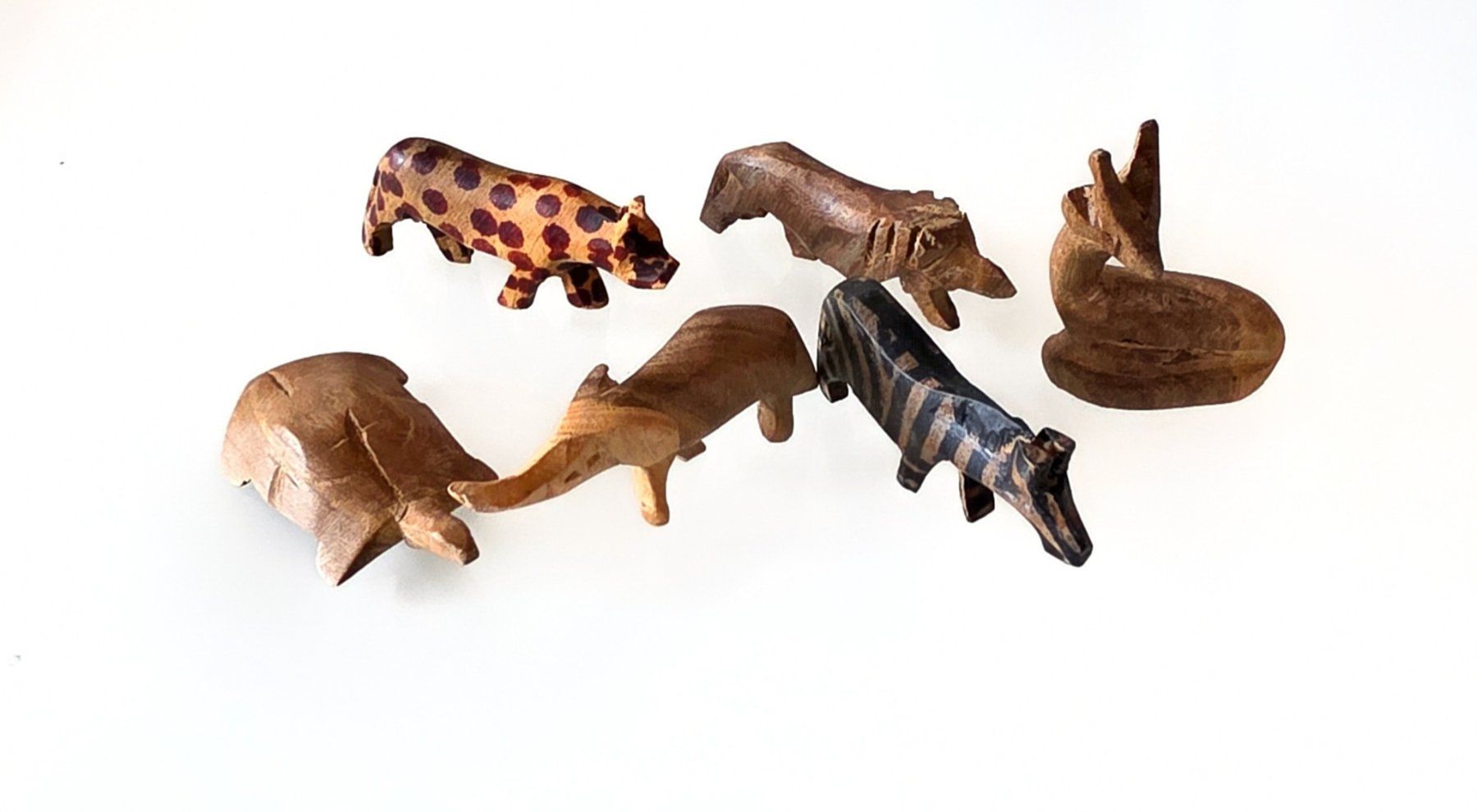 Jeux: Alpha Animals – D'occasion à Altendorf par keskomat 1