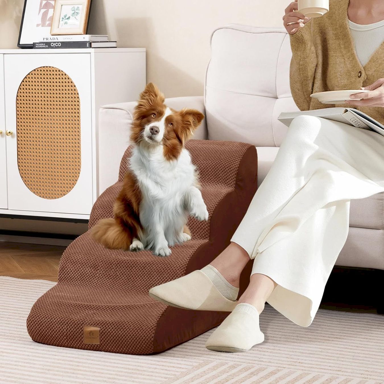 Altro in Accessori per animali: COSTWAY Hundetreppe 4 Stufen – Nuovo e nell'imballaggio originale da Bottighofen venduto da zaap 6