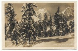 ST. MORITZ Piz Julier und Alban
