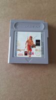 Un Indian dans la ville - Indianer Grosstadt - Gameboy