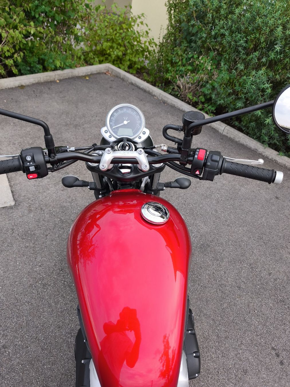Triumph Strasse: Triumph Street Twin 900 – Gebraucht aus Waltenschwil von pat_mck8 5