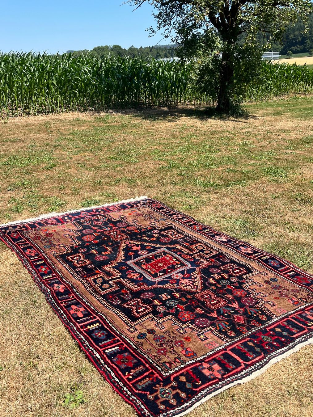 Tappeti: Orient Teppich Handgeknüpft Nahavand Iran – Usato da Allmendingen b. BE venduto da juair 1