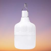 Lampes de secours, camping, LED rechargeables, 80W
