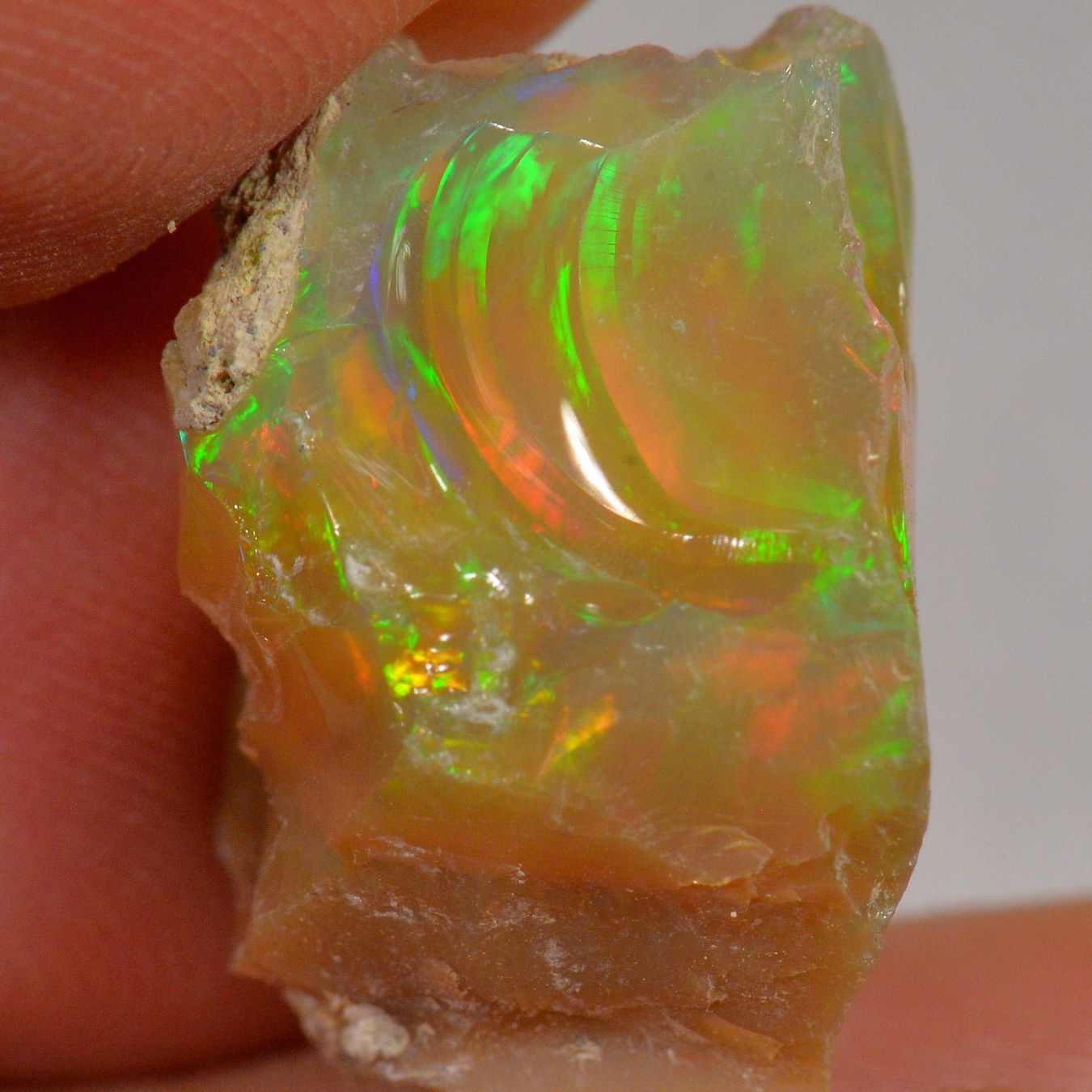 Pierres précieuses: 17.8 Karat - Roher Äthiopischer Welo Opal – Neuf (Voir description) à Rüti ZH par DeinOpal 4