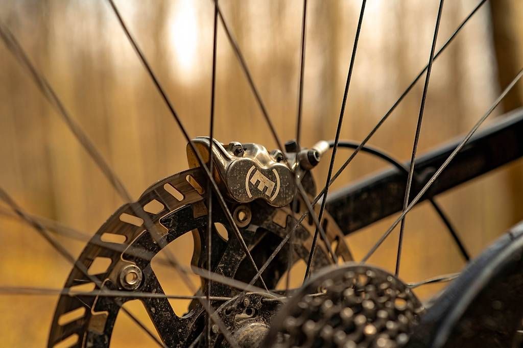 Propain Velos: VTT Dh Propain Rage CF – Gebraucht aus Gland von LorenzoMoretti 2