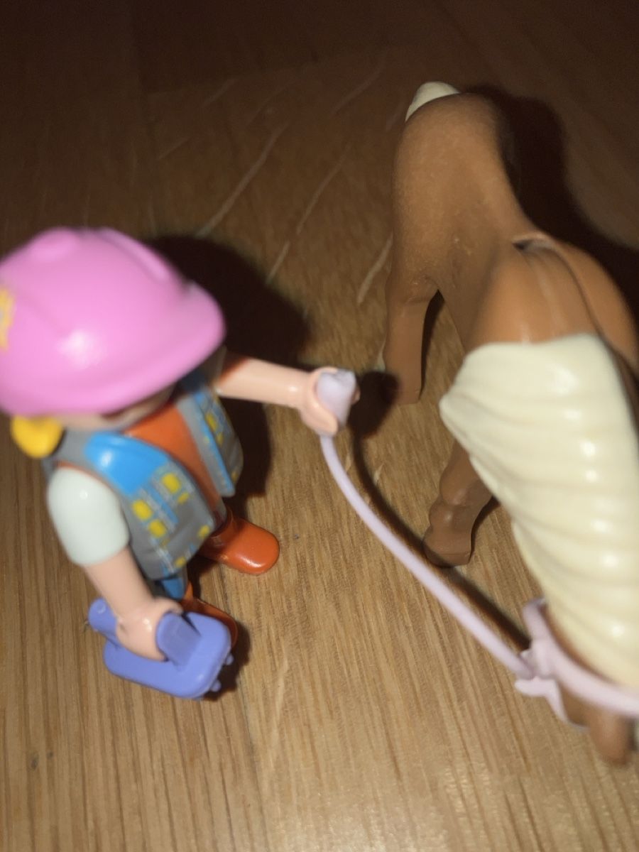 Playmobil Giocattoli: Playmobil horse & rider set  – Usato da Zürich venduto da papperlapapp1 1