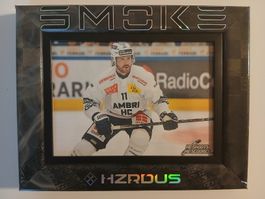 Hockey stick frame with original Chris Tierney Stick
