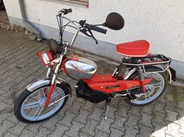 Magnifique Rixe moteur Sachs