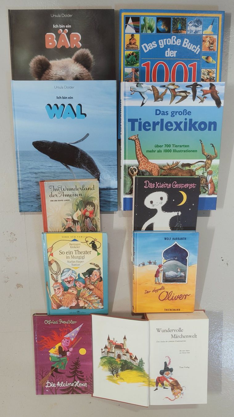 Libri: Kinderbücher verschiedene 28 Stück !!!!!!! – Usato da Flaach venduto da Lonzo99 1
