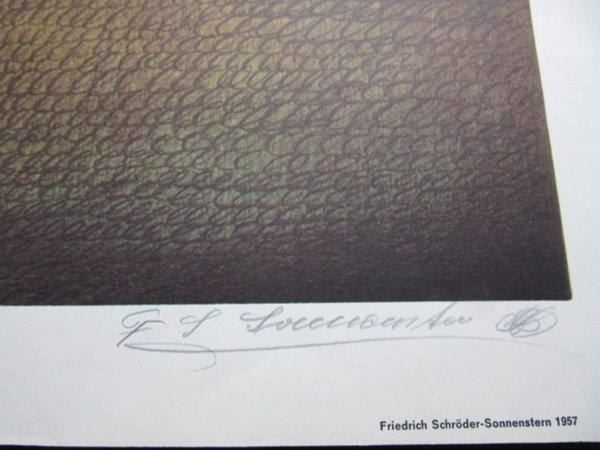 Foto & Immagini: Friedr, Schröder Sonnenstern signiert – Usato da Gersau venduto da grafik-kunst 2