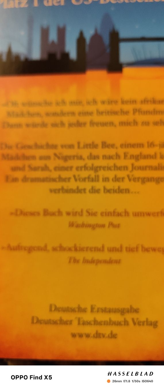 Livres: Little Bee – Neuf (Voir description) à Volken par katz5 3