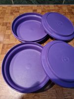 Tupperware 2 Dose lila neu