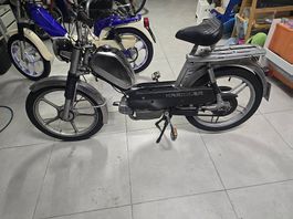 Kreidler MF 21