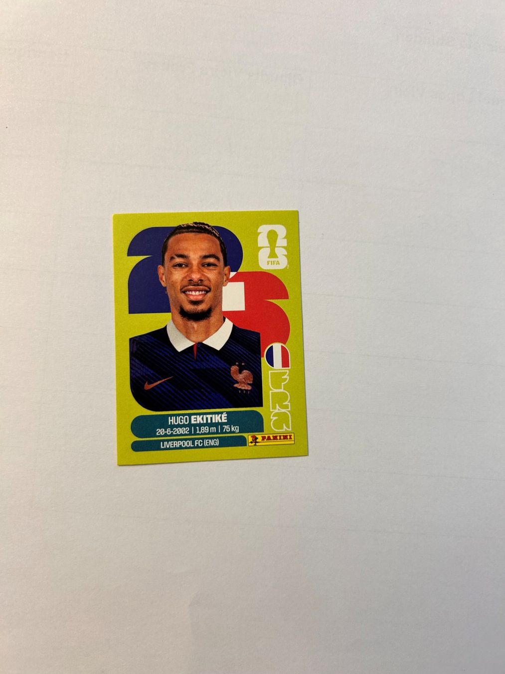 Panini Carte collezionabili: Panini Sticker FRA19 – Nuovo (secondo la descrizione) da Horgen venduto da Sunshine_12399