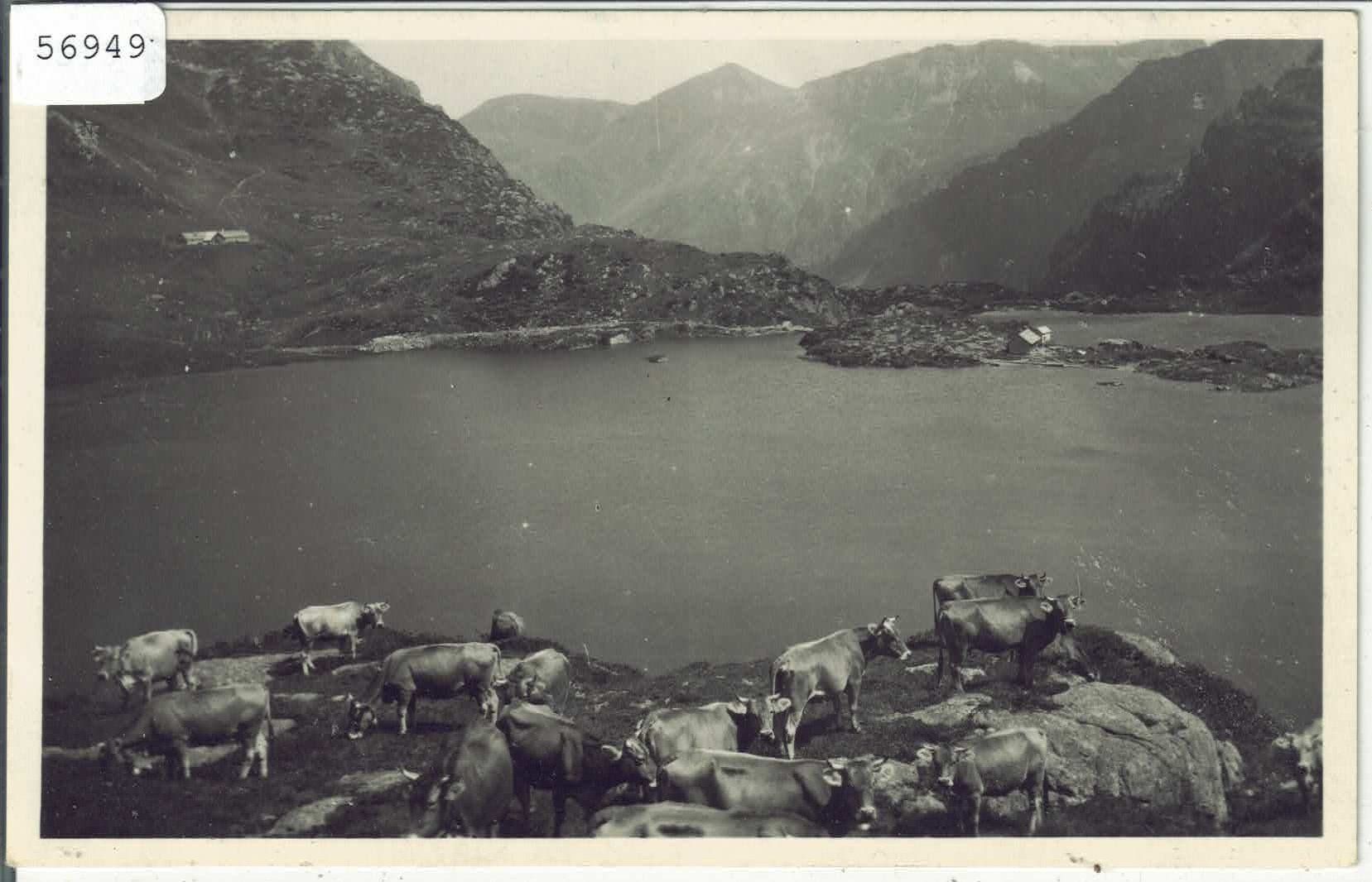 Cartoline postali: Am Murgsee - Kuhherde vaches – Usato da Ettingen venduto da Kartenplanet